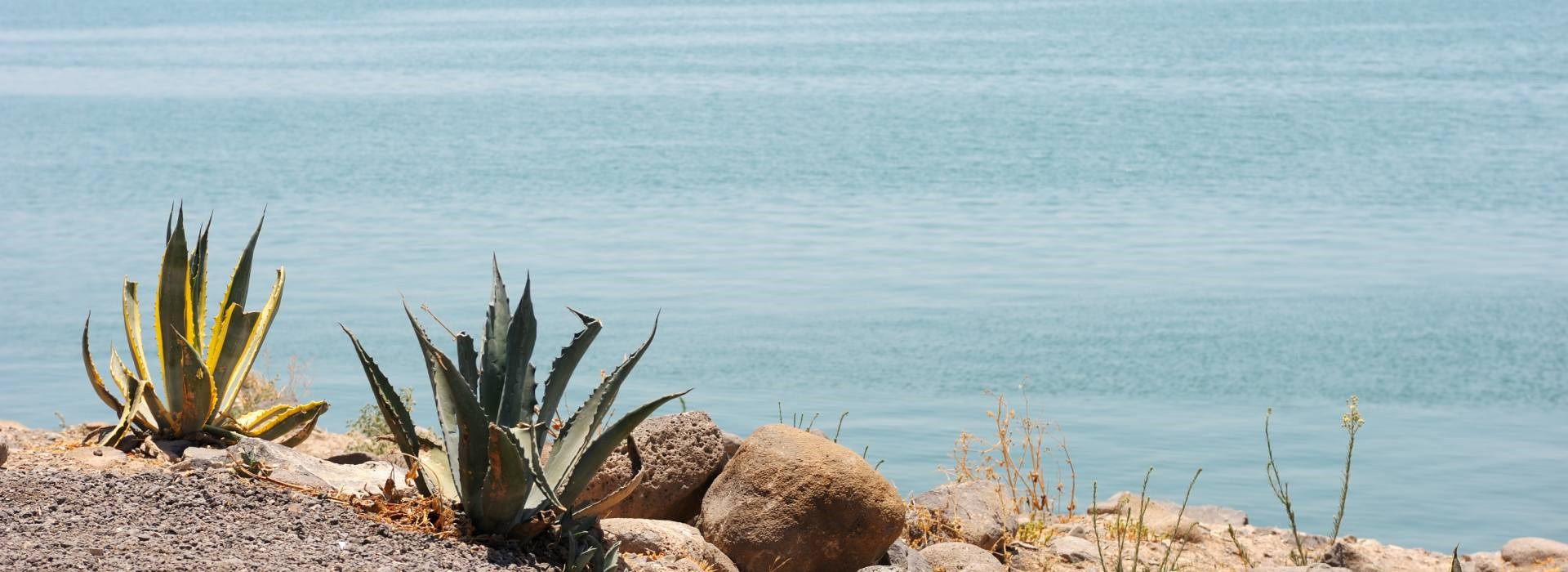 מבצעים ודילים לטבריה - מלון המלך שלמה טבריה