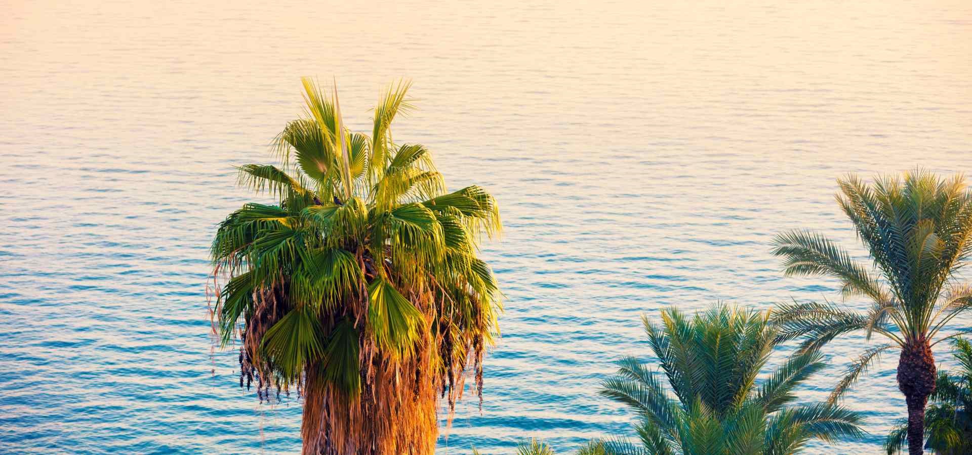 מדיניות פרטיות - מלון המלך שלמה טבריה